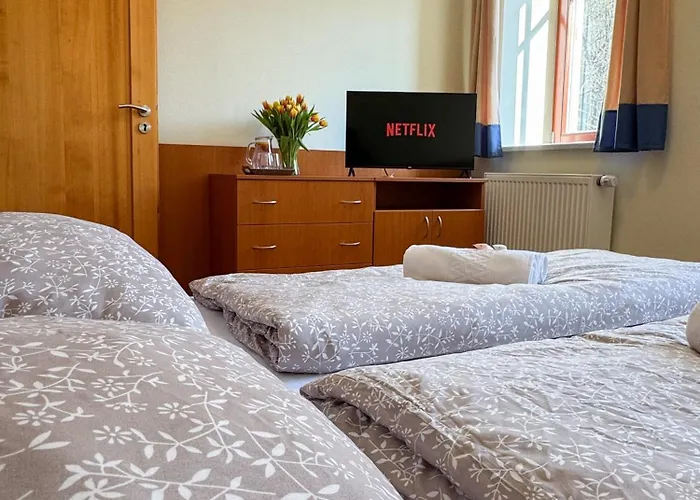 Pensionat Citkuv Mlyn 3*